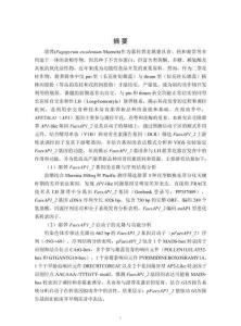 甜蕎FaesAP1＿2基因及其啟動(dòng)子的克隆與功能分析