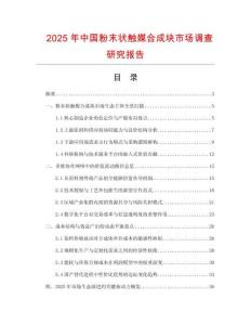 2025年中國粉末狀觸媒合成塊市場調(diào)查研究報告