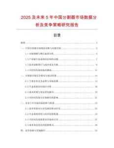 2025及未来5年中国分割器市场数据分析及竞争策略研究报告