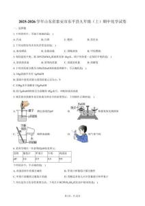 2025-2026學年山東省泰安市東平縣九年級（上）期中化學試卷（含答案）