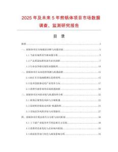 2025年及未来5年煎锅体项目市场数据调查、监测研究报告