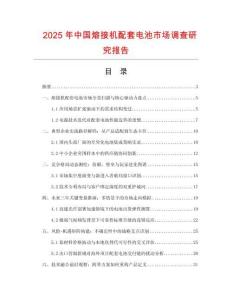 2025年中国熔接机配套电池市场调查研究报告