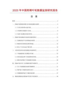 2025年中國(guó)附柄葉輪數(shù)據(jù)監(jiān)測(cè)研究報(bào)告