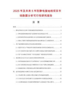 2025年及未来5年防静电接地线项目市场数据分析可行性研究报告