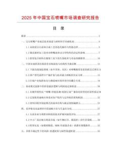 2025年中國寶石噴嘴市場(chǎng)調(diào)查研究報(bào)告