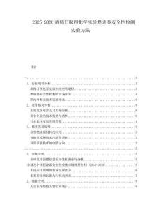 2025-2030酒精燈取得化學(xué)實驗燃燒器安全性檢測實驗方法