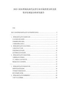2025-2030跨境電商代運(yùn)營(yíng)行業(yè)市場(chǎng)供需分析及投資評(píng)估規(guī)劃分析研究報(bào)告