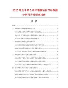 2025年及未来5年灯箱镜项目市场数据分析可行性研究报告