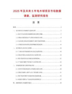 2025年及未来5年电木球项目市场数据调查、监测研究报告