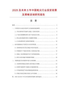 2025及未來5年中國筆尖行業(yè)投資前景及策略咨詢研究報告
