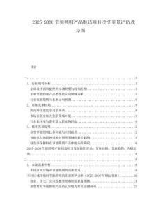 2025-2030节能照明产品制造项目投资前景评估及方案