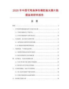 2025年中國可彎曲彈性橡膠拋光磨片數據監測研究報告