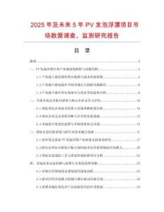 2025年及未来5年PV发泡浮漂项目市场数据调查、监测研究报告