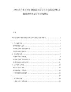 2025玻利維亞鋰礦鋰資源開發(fā)行業(yè)市場供需分析及投資評估規(guī)劃分析研究報告