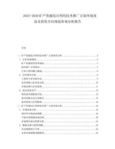 2025-2030礦產(chǎn)資源綜合利用技術(shù)推廣方案環(huán)境效益及投資方向規(guī)劃咨詢分析報(bào)告