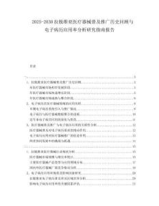2025-2030拉脫維亞醫(yī)療器械普及推廣歷史回顧與電子病歷應(yīng)用率分析研究指南報(bào)告