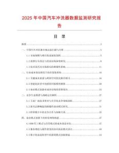 2025年中國汽車沖洗器數(shù)據(jù)監(jiān)測研究報告
