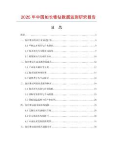 2025年中國加長錐鉆數據監測研究報告