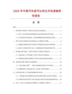 2025年中國汽車排汽分析儀市場調查研究報告
