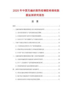 2025年中国无编织耐热硅橡胶绝缘线数据监测研究报告