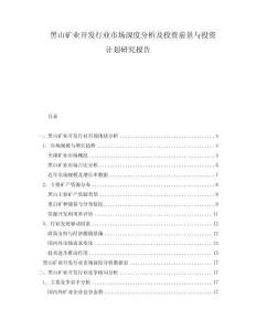 黑山礦業(yè)開發(fā)行業(yè)市場深度分析及投資前景與投資計劃研究報告