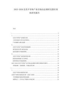 2025-2030北美半導(dǎo)體產(chǎn)業(yè)市場(chǎng)動(dòng)態(tài)調(diào)研及潛在商機(jī)研究報(bào)告