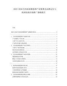 2025-2030巴西南部葡萄酒產(chǎn)業(yè)集聚及品牌定位與歐洲高端市場(chǎng)推廣策略報(bào)告