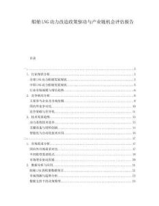 船舶LNG動力改造政策驅(qū)動與產(chǎn)業(yè)鏈機會評估報告