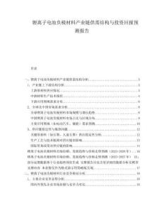 鋰離子電池負(fù)極材料產(chǎn)業(yè)鏈供需結(jié)構(gòu)與投資回報預(yù)測報告