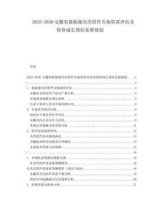 2025-2030安徽省新能源光伏組件市場供需評估及投資成長預(yù)估發(fā)展規(guī)劃