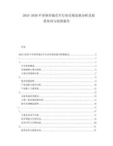 2025-2030半導(dǎo)體存儲(chǔ)芯片行業(yè)市場(chǎng)發(fā)展分析及前景布局與投資報(bào)告