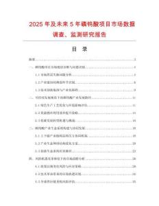 2025年及未來(lái)5年磷鎢酸項(xiàng)目市場(chǎng)數(shù)據(jù)調(diào)查、監(jiān)測(cè)研究報(bào)告