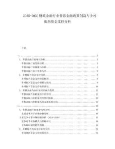 2025-2030财政金融行业普惠金融政策创新与乡村振兴资金支持分析