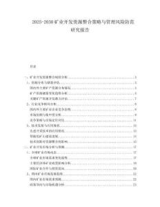 2025-2030矿业开发资源整合策略与管理风险防范研究报告