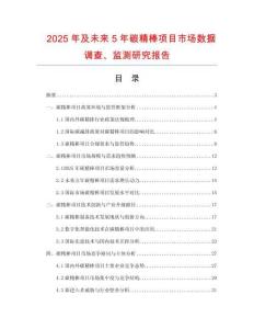 2025年及未來5年碳精棒項目市場數(shù)據(jù)調查、監(jiān)測研究報告