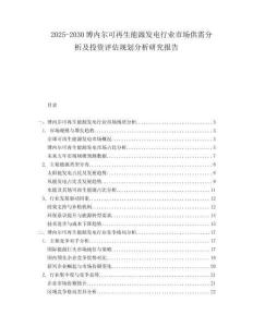 2025-2030博內(nèi)爾可再生能源發(fā)電行業(yè)市場(chǎng)供需分析及投資評(píng)估規(guī)劃分析研究報(bào)告