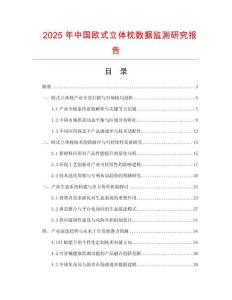 2025年中國歐式立體枕數據監測研究報告