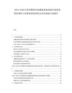 2025-2030巴登符騰堡州鹽酸氨溴索溶液市場需求供給調研與發展前景投資機會評估規劃方案報告