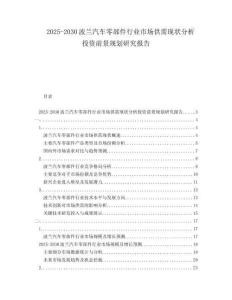 2025-2030波蘭汽車零部件行業(yè)市場(chǎng)供需現(xiàn)狀分析投資前景規(guī)劃研究報(bào)告