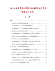 2025年中國繼電保護多功能測試儀市場調(diào)查研究報告