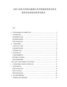 2025-2030巴西清潔能源行業市場現狀供需分析及投資評估規劃分析研究報告