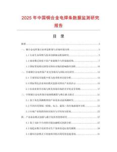 2025年中国铜合金电焊条数据监测研究报告