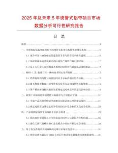 2025年及未來5年繞管式鋁帶項目市場數據分析可行性研究報告