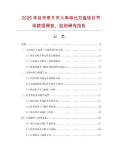 2025年及未來5年大串珠長方盤項目市場數(shù)據(jù)調(diào)查、監(jiān)測研究報告