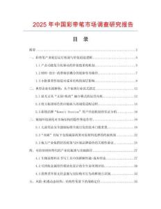 2025年中國彩帶筆市場調查研究報告