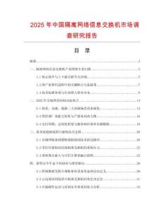 2025年中國隔離網絡信息交換機市場調查研究報告