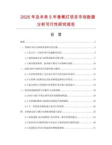 2025年及未來5年香蕉燈項(xiàng)目市場數(shù)據(jù)分析可行性研究報(bào)告