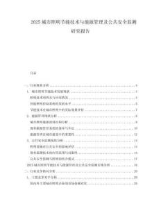 2025城市照明節能技術與能源管理及公共安全監測研究報告
