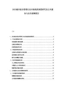 2025城市綜合管理行業市場現狀深度研究及公共服務與安全保障報告