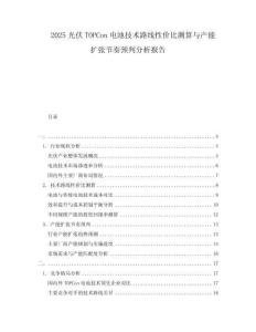 2025光伏TOPCon電池技術(shù)路線性價比測算與產(chǎn)能擴張節(jié)奏預(yù)判分析報告